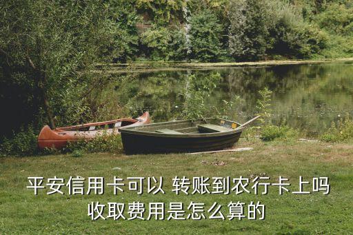  平安信用卡可以 轉(zhuǎn)賬到農(nóng)行卡上嗎收取費(fèi)用是怎么算的
