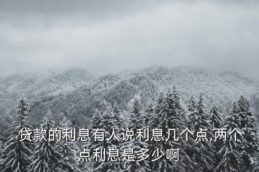  貸款的利息有人說利息幾個(gè)點(diǎn),兩個(gè)點(diǎn)利息是多少啊