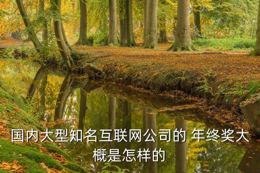 國內(nèi)大型知名互聯(lián)網(wǎng)公司的 年終獎(jiǎng)大概是怎樣的