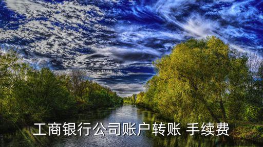 工商銀行公司賬戶轉(zhuǎn)賬 手續(xù)費(fèi)