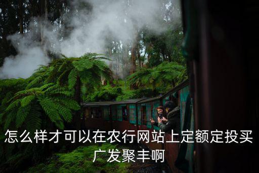 怎么樣才可以在農(nóng)行網(wǎng)站上定額定投買(mǎi)廣發(fā)聚豐啊