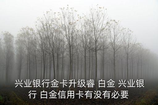 興業(yè)睿白金額度多少錢,興業(yè)行卡白金信用卡精英版額度