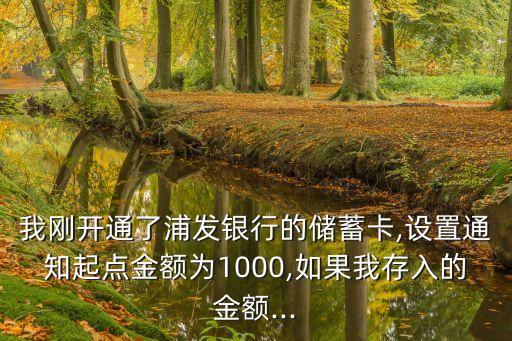 浦發(fā)免盜刷極致 多少錢