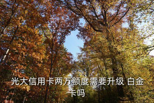 光大龍騰白金封頂多少錢,光大白金龍騰出行高鐵不能用