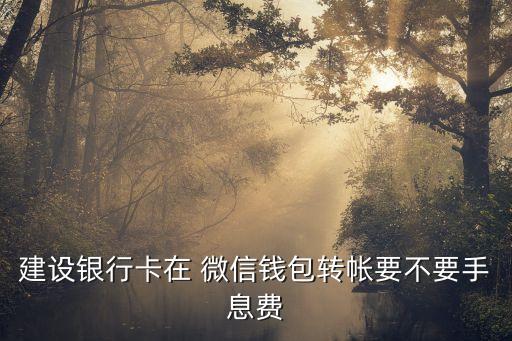 建行微信支付手續(xù)費(fèi)是多少錢,建行轉(zhuǎn)到微信收取手續(xù)費(fèi)嗎
