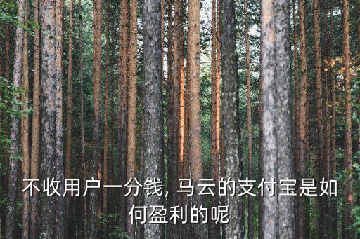 不收用戶一分錢, 馬云的支付寶是如何盈利的呢