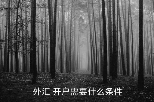 外匯開戶激活門檻多少