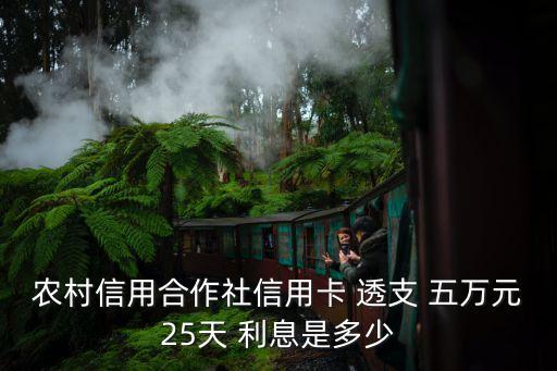 農(nóng)村信用合作社信用卡 透支 五萬元25天 利息是多少