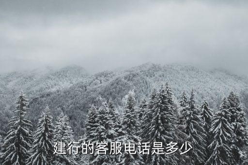 重慶中國建設(shè)銀行電話號碼是多少,中國建設(shè)銀行四川省分行電話號碼