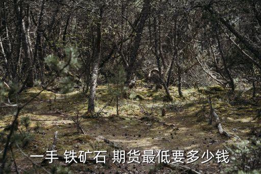 一手 鐵礦石 期貨最低要多少錢