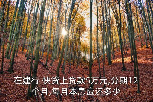 在建行 快貸上貸款5萬元,分期12個月,每月本息應還多少