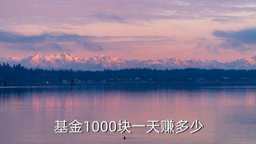  基金1000塊一天賺多少