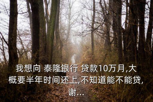 我想向 泰隆銀行 貸款10萬月,大概要半年時間還上,不知道能不能貸,謝...