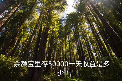 五萬放余額寶一天多少,五萬塊存余額寶一天多少利息