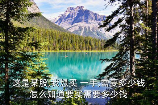 這是某股,我想買 一手,需要多少錢怎么知道要買需要多少錢