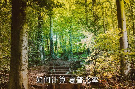 一般基金夏普率多少錢,基金夏普率多少比較好
