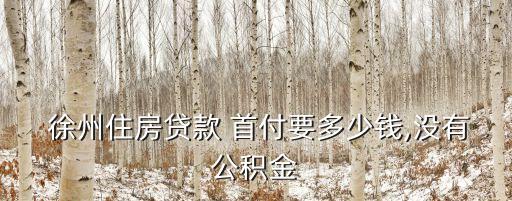 徐州買房首付多少,徐州單身買房首付比例多少