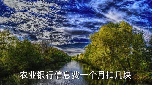 農業(yè)銀行信息費一個月扣幾塊