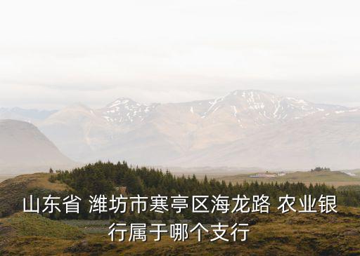 山東省 濰坊市寒亭區(qū)海龍路 農(nóng)業(yè)銀行屬于哪個支行