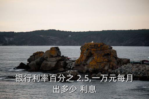 銀行利率百分之 2.5,一萬元每月出多少 利息