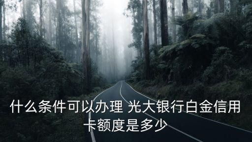 什么條件可以辦理 光大銀行白金信用卡額度是多少