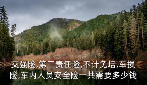交強(qiáng)險(xiǎn),第三責(zé)任險(xiǎn),不計(jì)免培,車(chē)損險(xiǎn),車(chē)內(nèi)人員安全險(xiǎn)一共需要多少錢(qián)