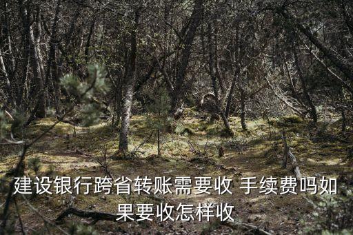 建行同行轉(zhuǎn)款手續(xù)費是多少