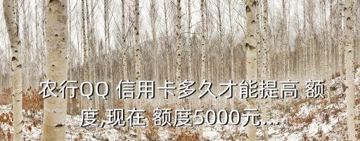 農(nóng)行qq信用卡的額度是多少時(shí)間,農(nóng)行信用卡qq聯(lián)名卡最高額度