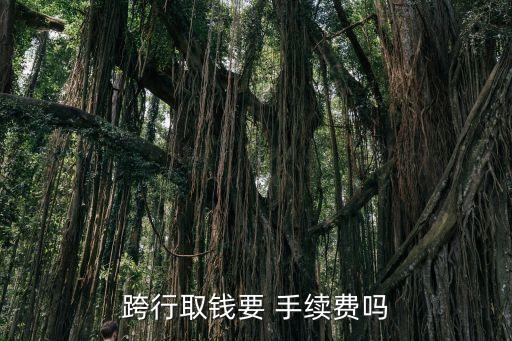 浦發(fā)異行取款手續(xù)費(fèi)多少,社?？缧腥】钜掷m(xù)費(fèi)