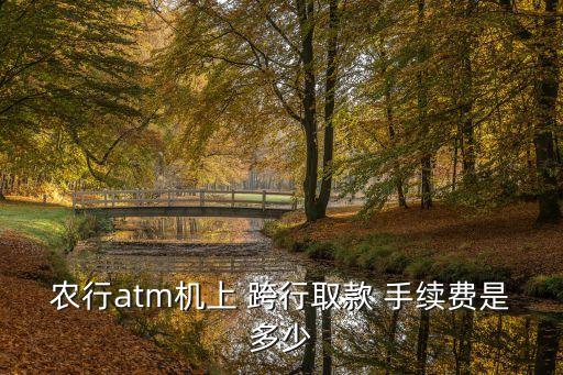 農(nóng)行atm機(jī)上 跨行取款 手續(xù)費(fèi)是多少