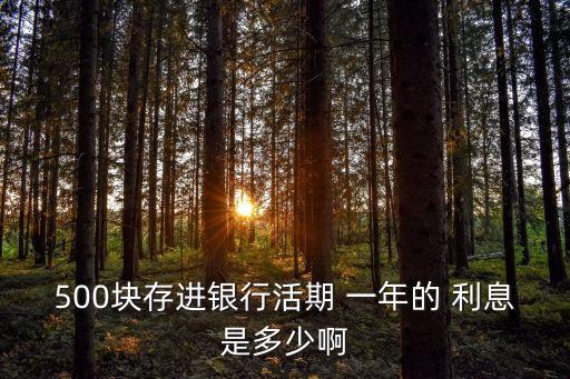 500塊存進銀行活期 一年的 利息是多少啊