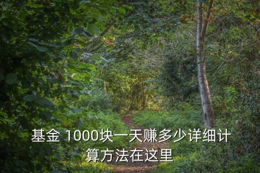  基金 1000塊一天賺多少詳細(xì)計(jì)算方法在這里