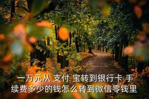  一萬元從 支付 寶轉(zhuǎn)到銀行卡 手續(xù)費多少的錢怎么轉(zhuǎn)到微信零錢里