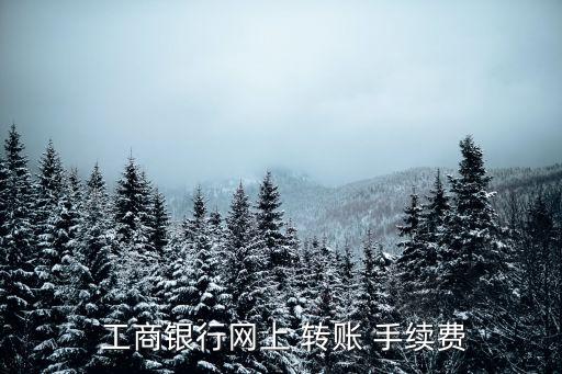  工商銀行網(wǎng)上 轉(zhuǎn)賬 手續(xù)費