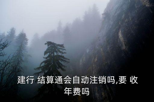建行結(jié)算通卡收年費(fèi)多少