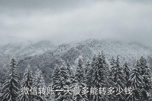 微信一天交易限額多少,微信交易限額20萬到了怎么辦
