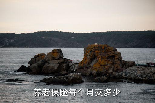 養(yǎng)老保險(xiǎn)每個(gè)月交多少