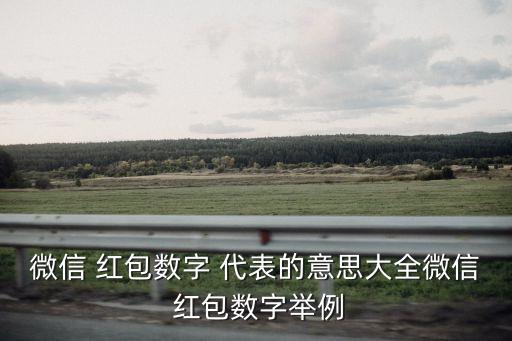 微信 紅包數(shù)字 代表的意思大全微信 紅包數(shù)字舉例