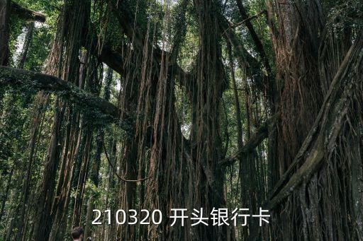 210320 開頭銀行卡