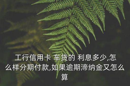  工行信用卡 車貸的 利息多少,怎么樣分期付款,如果逾期渧納金又怎么算