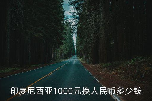 一印尼盧比能買多少,印尼盧比可以買什么