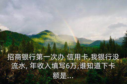 招商銀行第一次辦 信用卡,我銀行沒(méi)流水, 年收入填寫(xiě)6萬(wàn),誰(shuí)知道下卡額是...