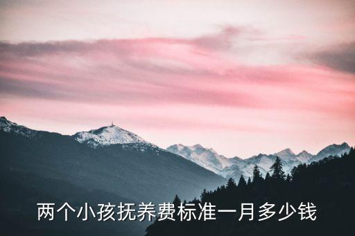 兩個小孩撫養(yǎng)費標準一月多少錢