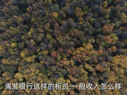 浦發(fā)銀行這樣的柜員,一般收入怎么樣