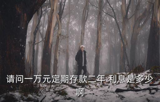 請問一萬元定期存款二年 利息是多少啊