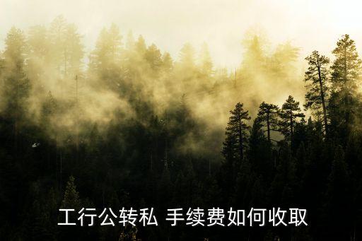 工行公轉(zhuǎn)私 手續(xù)費(fèi)如何收取
