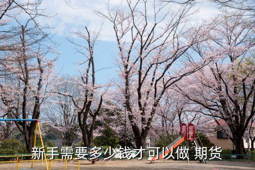期貨入門資金最低多少,6000元做期貨一年賺一百萬