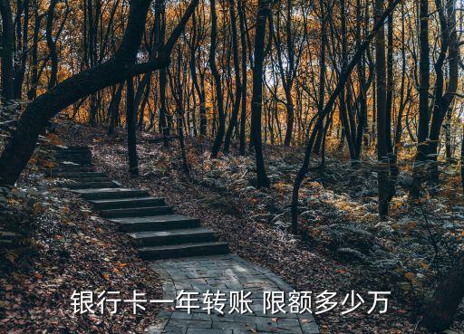 銀行卡一年轉(zhuǎn)賬 限額多少萬(wàn)