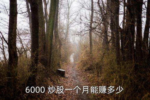 6000 炒股一個月能賺多少