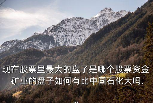 現(xiàn)在股票里最大的盤子是哪個(gè)股票資金 礦業(yè)的盤子如何有比中國石化大嗎...